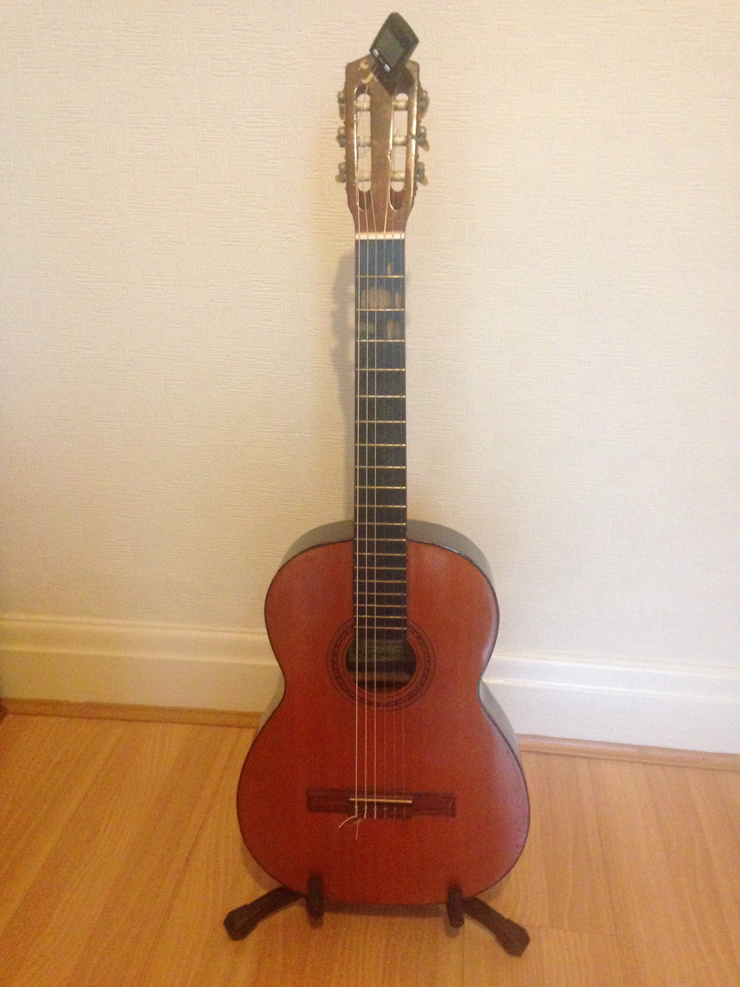 GUITARRAS DE MUM & DAD