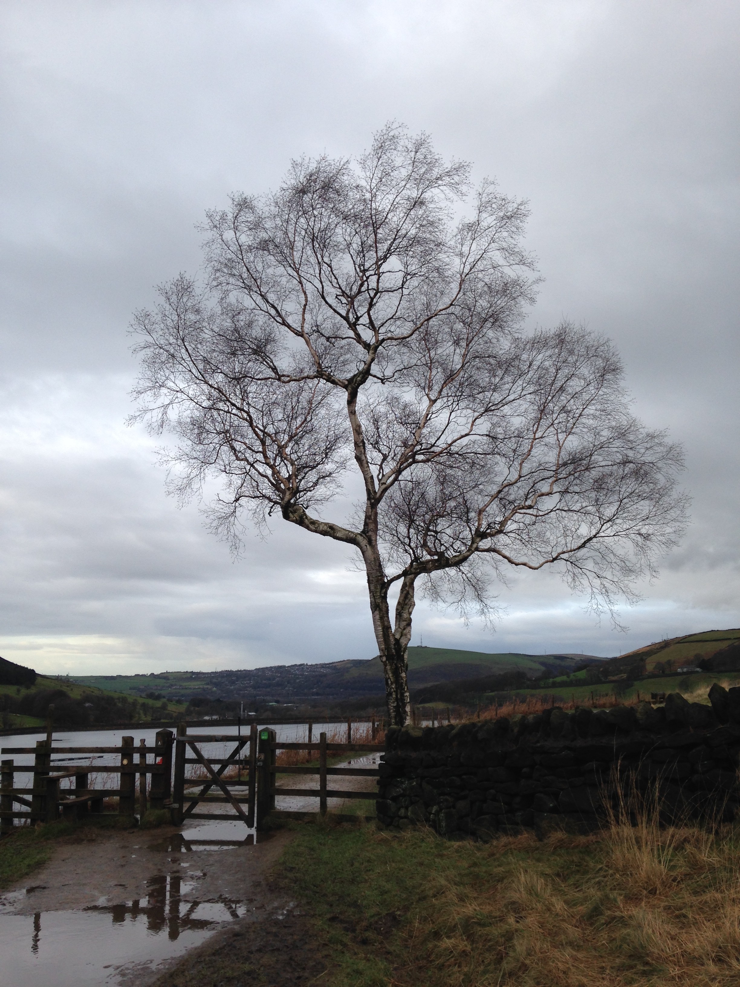 WALKING THE MOORSCAPE™