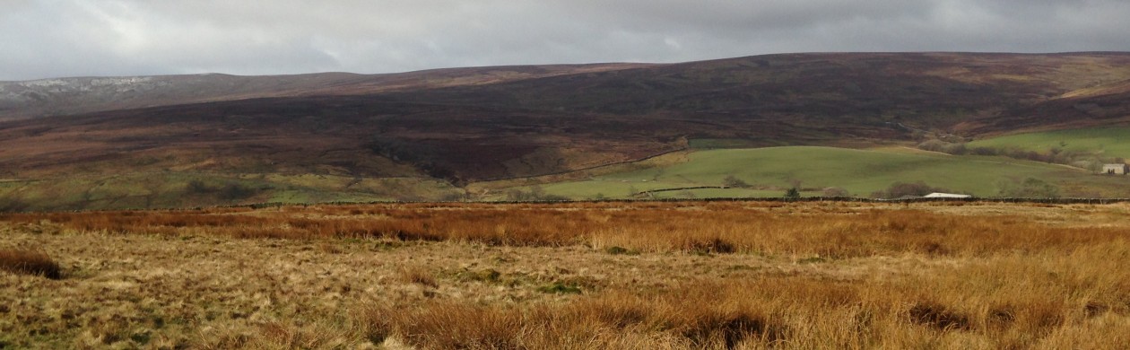 THE SPIRIT OF MOORSCAPE™