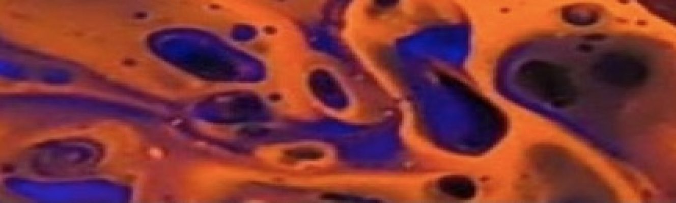 CDDE4C87-E437-44CE-8BF6-5C8797F4E362_4_5005_c